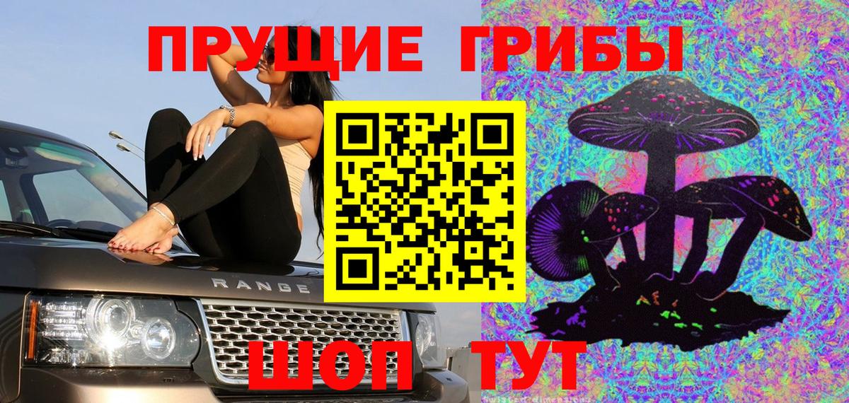 Псилоцибиновые грибы мицелий Зеленодольск